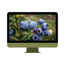 Load image into Gallery viewer, Copy of theNotSoBoringCar™ - Brth.io
